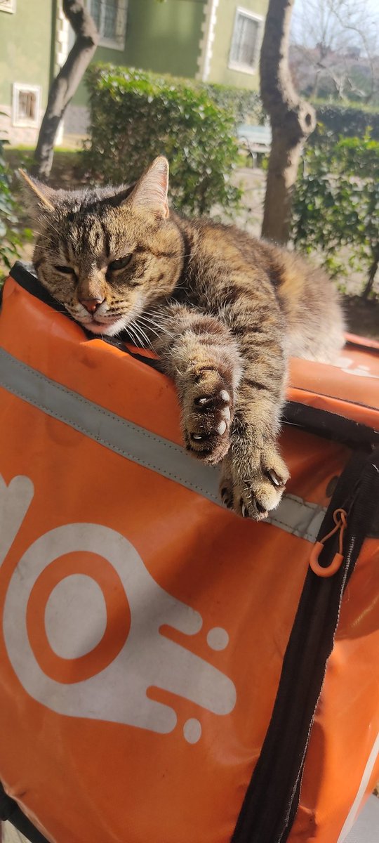 Benim işe başlamam gerek bunu nasıl kaldırayım şimdi?