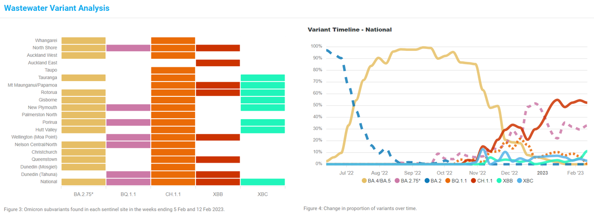 joannehewittnz's tweet photo. COVID-19 wastewater update: Nationally, SARS-CoV-2 levels in wastewater remain low but slight increase cf to last week. CH.1.1 and BA.2.75 continue to be the most common variants detected. https://t.co/GwAbGZ0HEm (data) and https://t.co/lnE3CKSRYq (dashboard). https://t.co/XGjXB8EiFK
