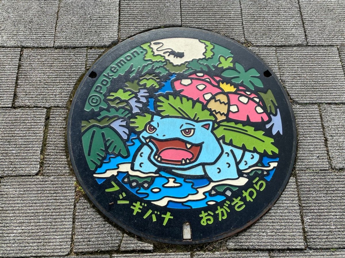 今日は #PokémonDay だそうです！ 小笠原にはポケふたが4種類が