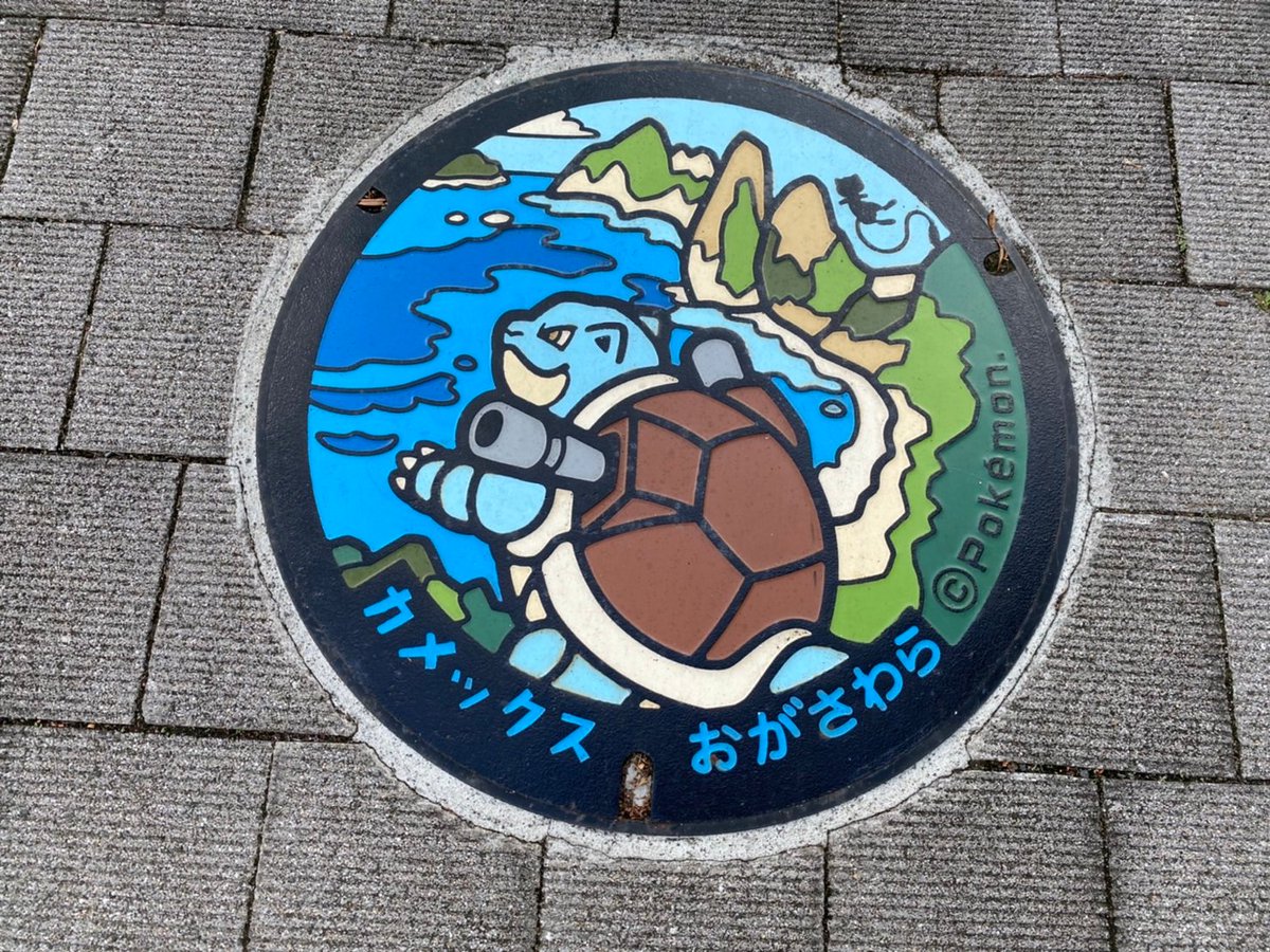今日は #PokémonDay だそうです！ 小笠原にはポケふたが4種類が 
