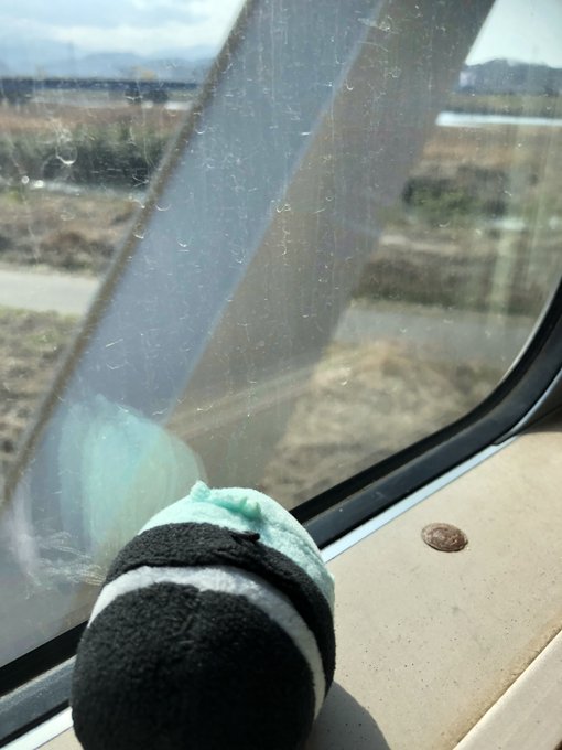 本日の膝丸 