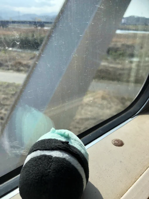 本日の膝丸 