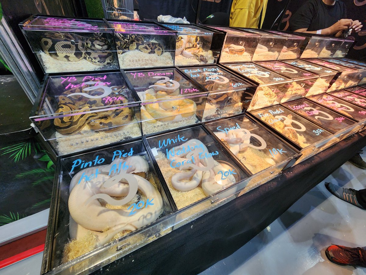 ABSCBN News Business on Twitter "LOOK The Philippine Pet Expo 2023