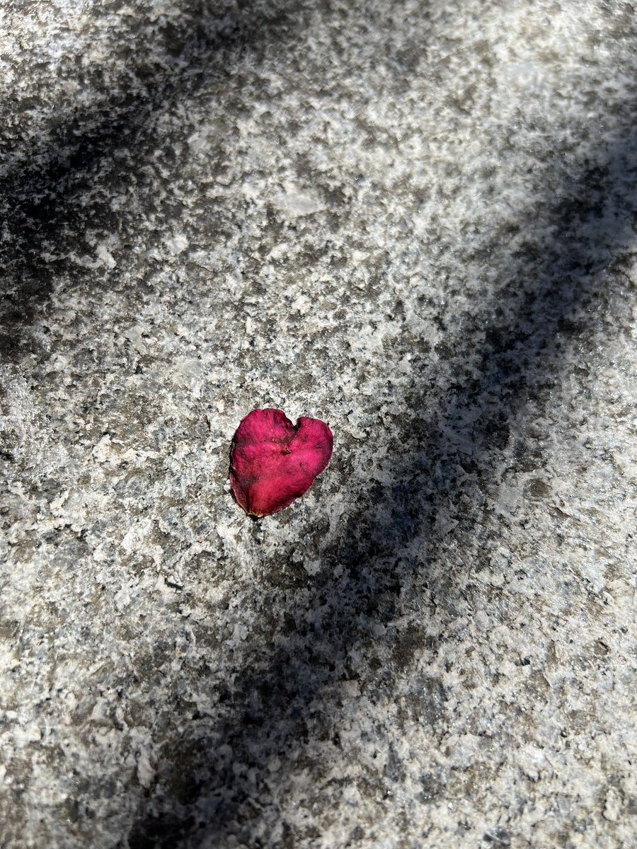 Nene999_'s tweet photo. 浜松の神社来たら❤みつけた🙈💕︎
いい事あるかな～🥰 https://t.co/CnNtjGd1Se