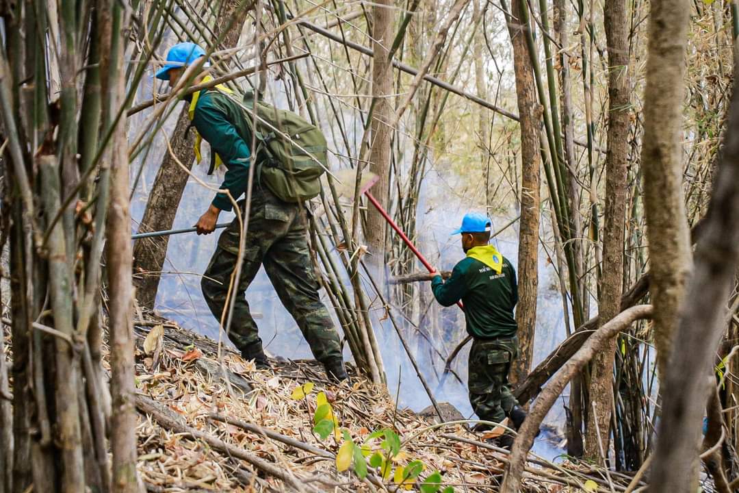 3_INFANTRY_DIV's tweet photo. "ทหาร ยังคงเดินหน้าดับไฟป่าอย่างต่อเนื่อง"

ร.8 พัน.1 ร่วมกับภาครัฐและภาคประชาชนเข้าดำเนินการดับไฟป่าในเขตพื้นที่ภูสะนาว ต.ศรีสองรัก อ.เมือง  จ.เลย เพื่อป้องกันไม่ให้ลุกลามเข้าเขตชุมชนหมู่บ้าน ซึ่งอาจได้รับความเสียหายต่อชีวิตทรัพย์สิน https://t.co/i76gXLxEHg