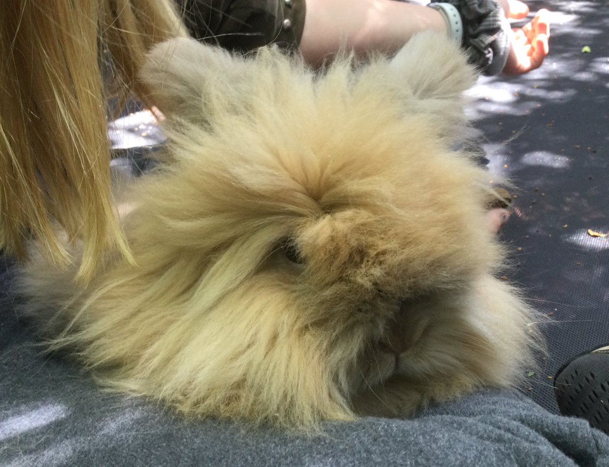 Dr. Jennifer Pett-Ridge tweet media