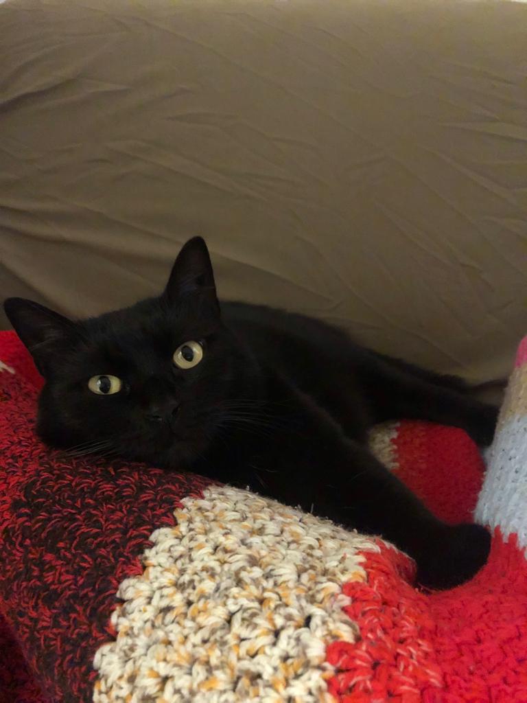 Hope-Sensei tweet media