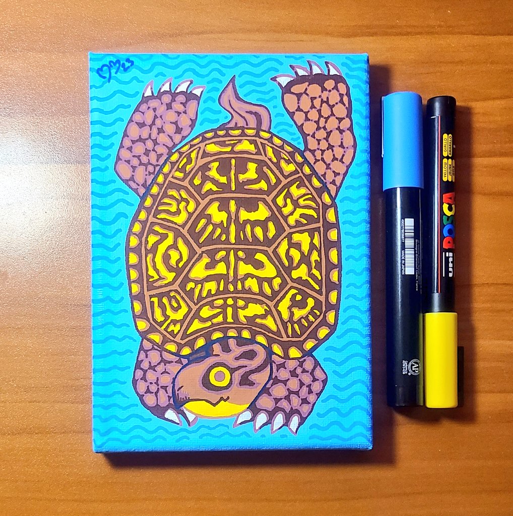 Toordle 🐢🐢🐢 #boxturtle #turtle #posca #poscapens #poscamarkers #gelpens