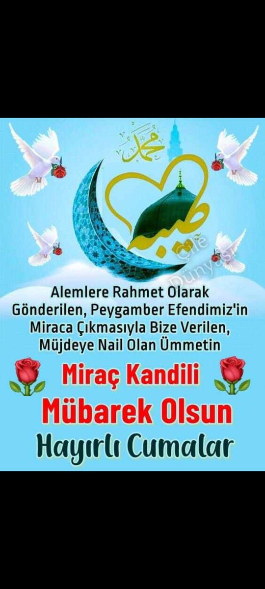 Umut Karataş (@umutkaratas23) on Twitter photo 