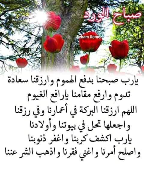 avmedm9's tweet photo. https://t.co/4NmyizT9Mf