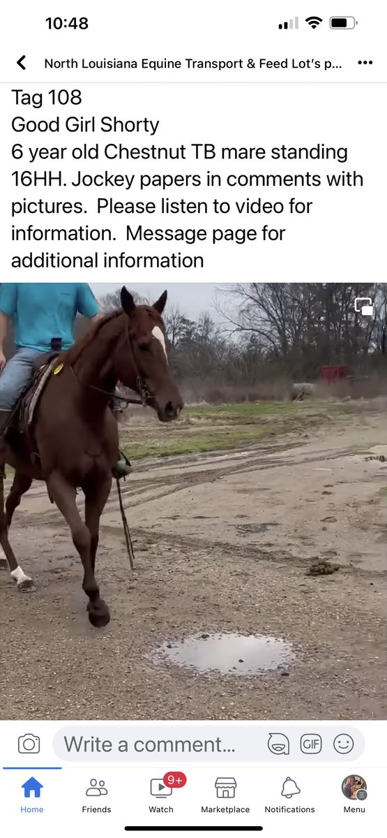 maggi moss tweet media