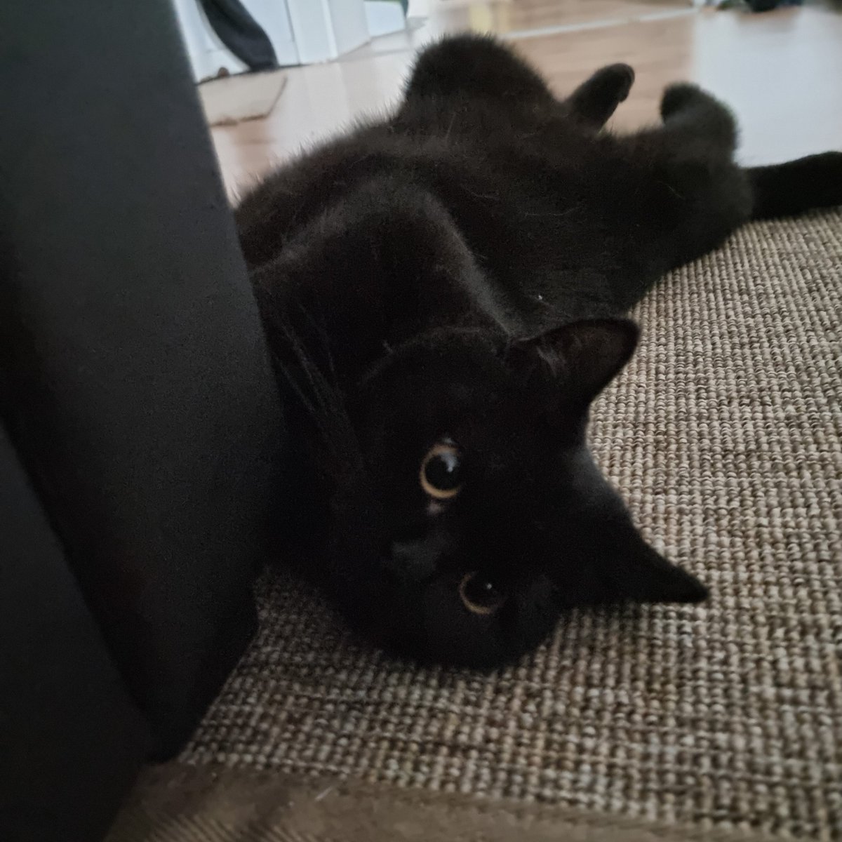 Melancholic (@moondrop) on Twitter photo 