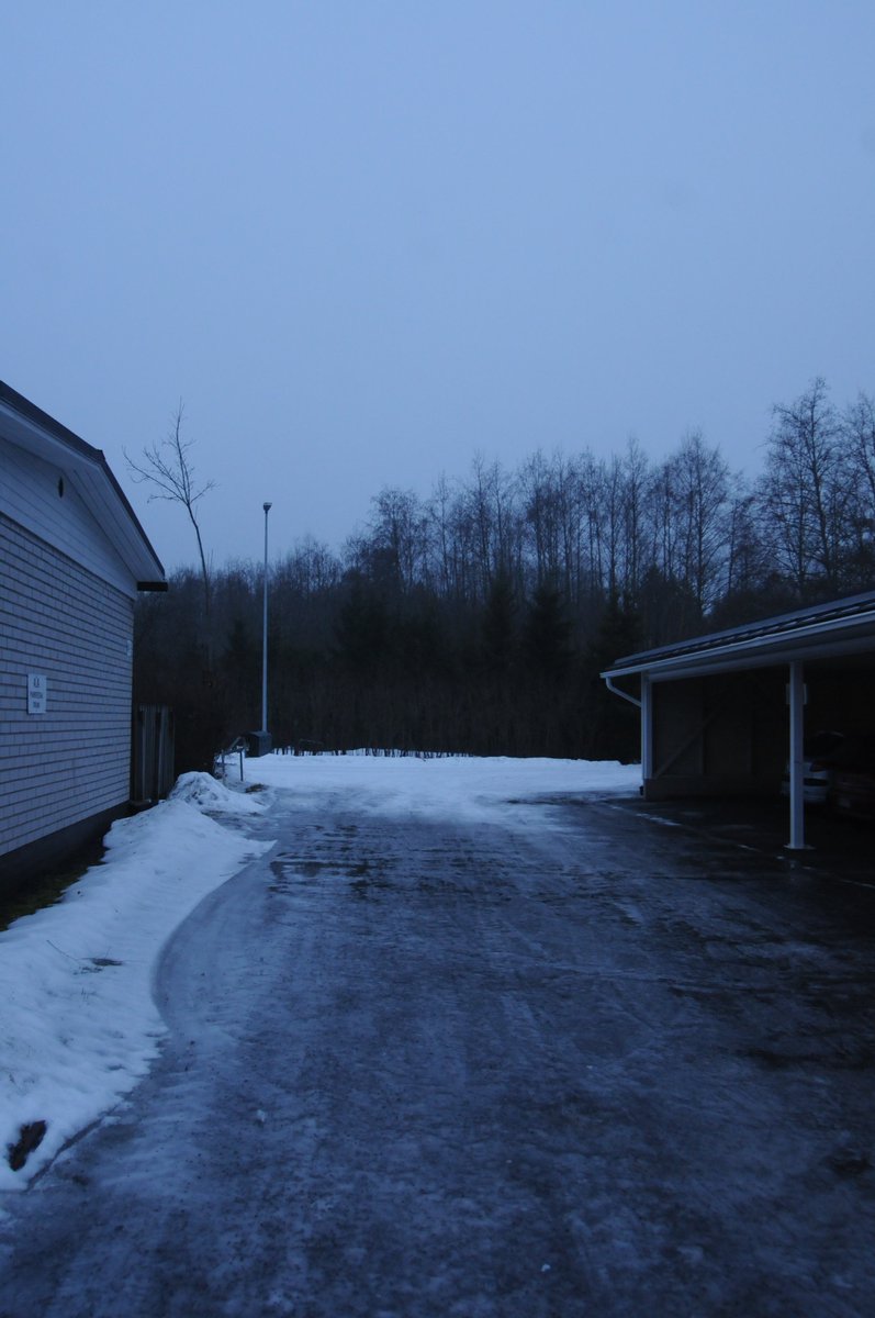 ttvehkalahti's tweet photo. Noormarkku 17.2.2023 +1.2 astetta eteläinen ilmavirta,ei tuule. #Kostea päivä ja taas on liukastakain,taitas olla paree pysyä pirtissä.Muttei huominenkaan paljon parmpi päivä ole.Jospa saisi luettua #JohnGrisham Päämies kirjan loppuun. #hämärä #lintulauta #liukas #kirja #tuija https://t.co/hJbqPt8IpF