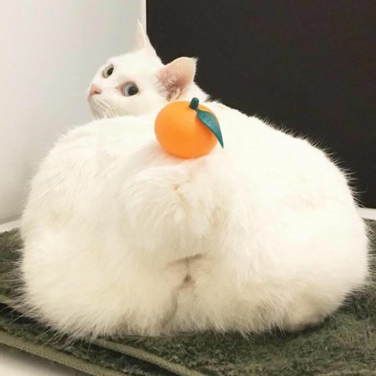 Dernière matinale de la semaine, dernière ligne droite donc on donne tout et on arrache tout! 🐸

Twitch.tv/Zefeks
Twitch.tv/Zefeks
Twitch.tv/Zefeks