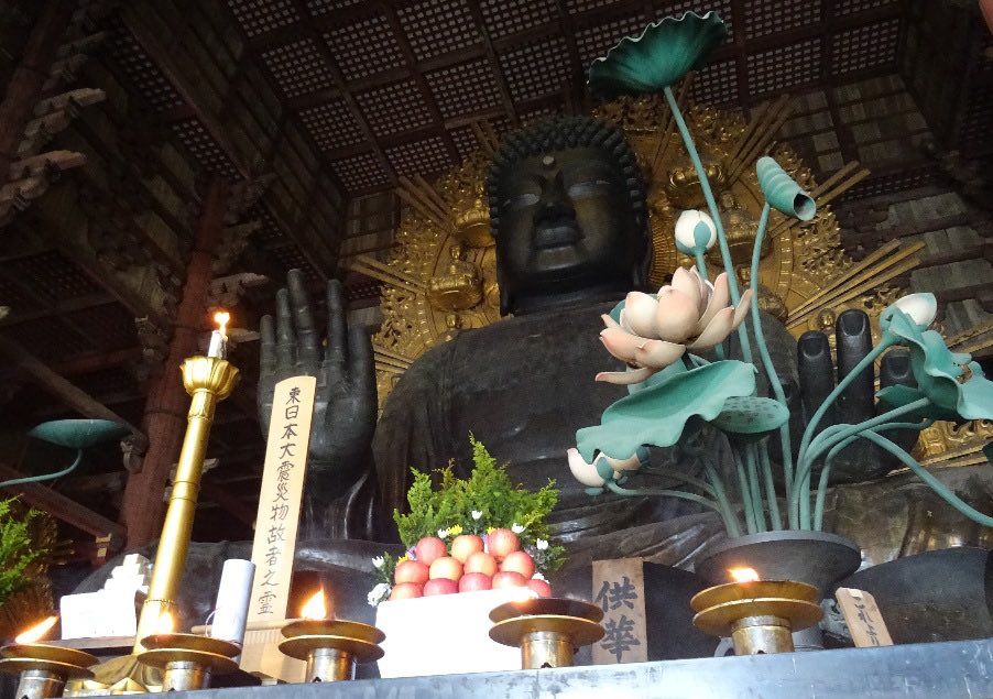 The Great East Japan Earthquake occurred on March 11th, 12 years ago. On March 11 this year, a memorial service for the victims of the earthquake will be held at 14:30 in the Great Buddha Hall. #todaiji #daibutsuden #memorialservice