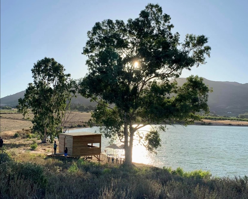 winetourismza's tweet photo. The new Babiana Trail and bird hide at #VondelingWines is a breathtaking new addition to the growing range of #ecotourism activities in the #CapeWinelands | https://t.co/afzMJXClgx via @CapeTownEtc
🍇🌷🌿🦆🐦🚶♂️🚶♀️#FollowTheSugarBird
#Vondeling #PaardebergCountry #WineryExploring https://t.co/CBgMzPmTOM