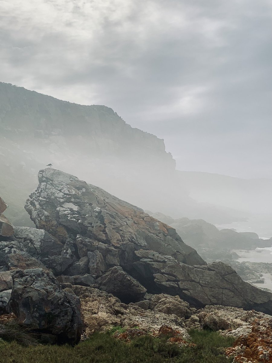 KwendaloSA's tweet photo. Robberg peninsula shrouded in mist-que this morning ahead of our Harmony Project excursion with Bahia Formosa Grade 4 students.  ⁦@HarmonyOrgUK⁩ #plettitsafeeling #natureforall ⁦@natureforall⁩ #robberg https://t.co/FsIiWgR6mj