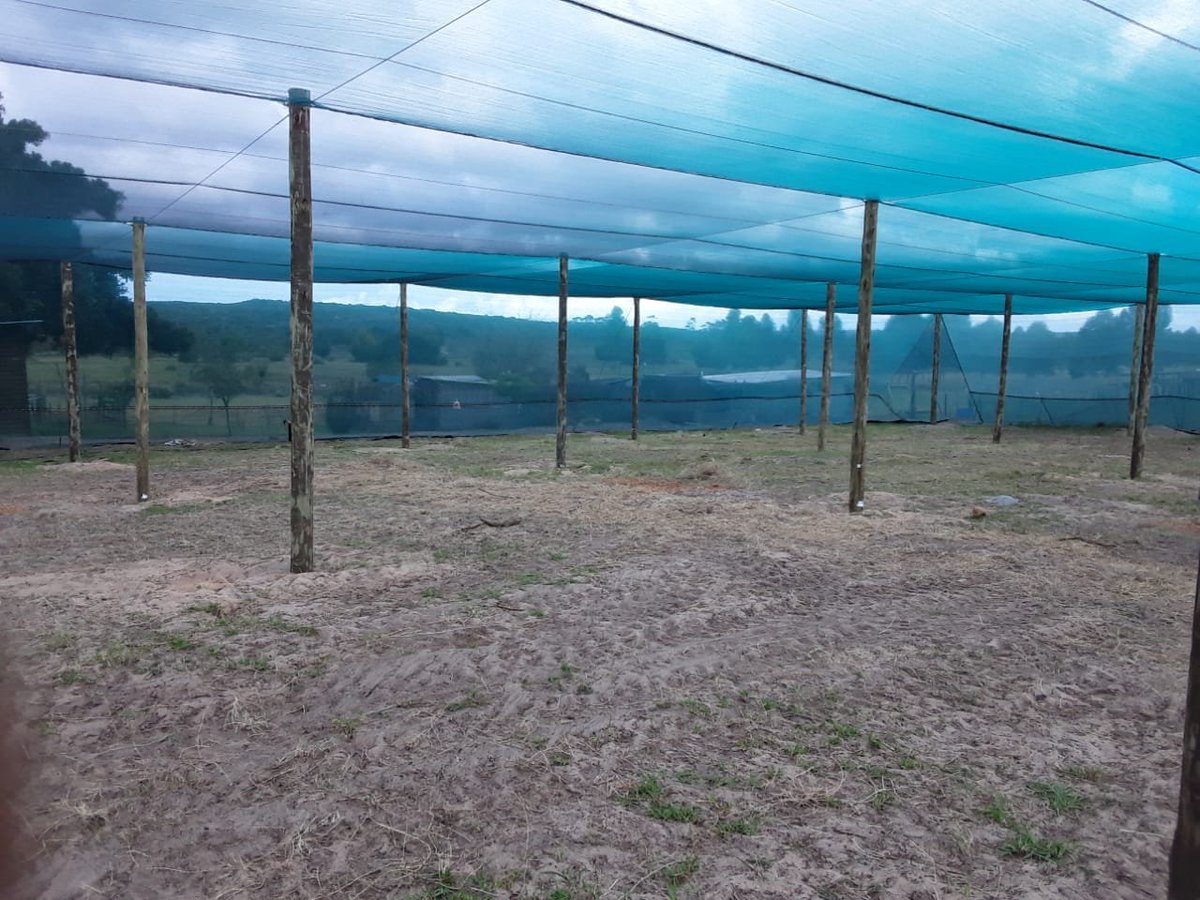 FarmersSA's tweet photo. Shadenet Structure 1HA
CONTACT US FOR A QUOTE
Tel:(012) 004 2164
WhatsApp: 083 330 0999
Email: Info@greenhouseguy.co.za
Website: https://t.co/obUrokbBqM https://t.co/v43qa0MdPd
