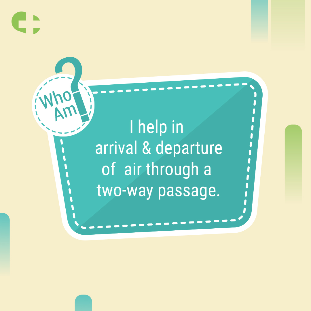 NetMeds's tweet image. What’s your guess? Comment below! 👀​

HINT: The runway must be clean and clear for the air to pass through. ​

#AirSolution #IndiaKiPharmacy #Netmeds