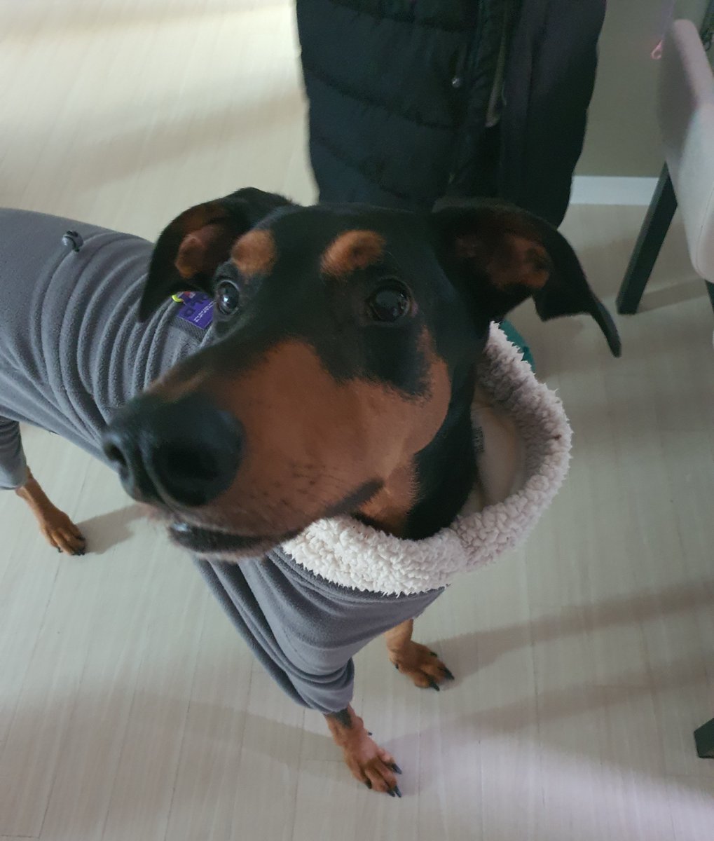 산책준비 가나지