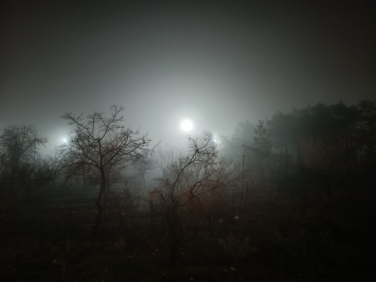 SorenaNFTs's tweet photo. The #scary #backyard of my #dormitory 😈

Check out that from my OpenSea👇
https://t.co/k4aDCJrcCk

#digitalart  #NFTartist #nftart #nft #NFTcommunity #nftcollector #NFTcollectibles #opensea #HorrorArt   #scary_pictures #Wednesday_Adams #SorenaNFTs https://t.co/do979m6USg