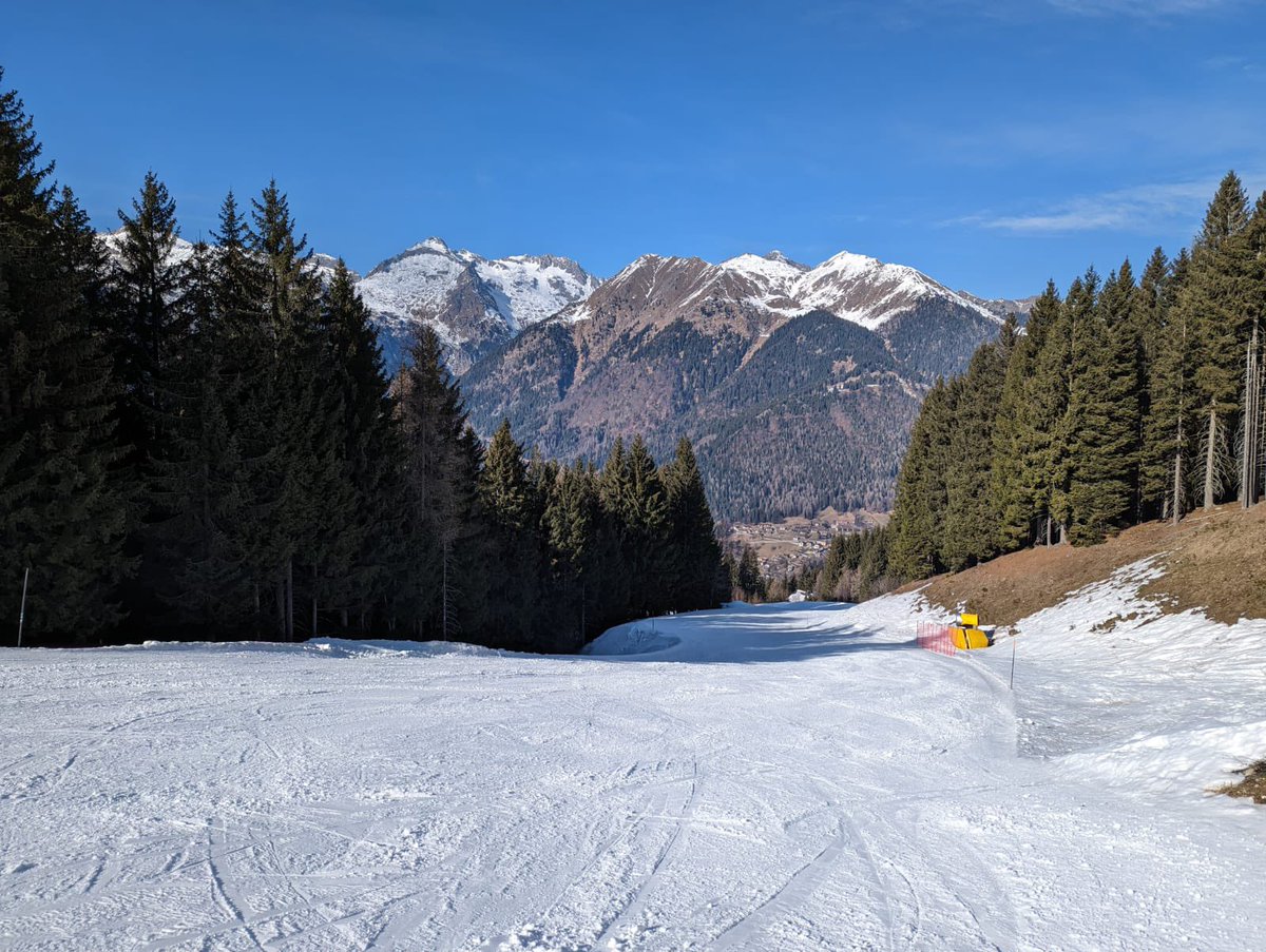 James Trapp tweet media