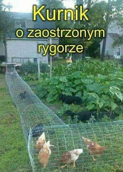 FpJtTX5XsAECfMn