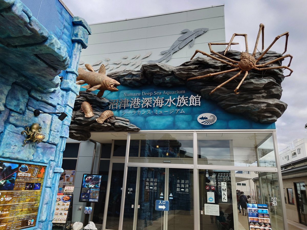 沢昭典 on Twitter: "有休その1 三島大社と沼津港深海水族館"