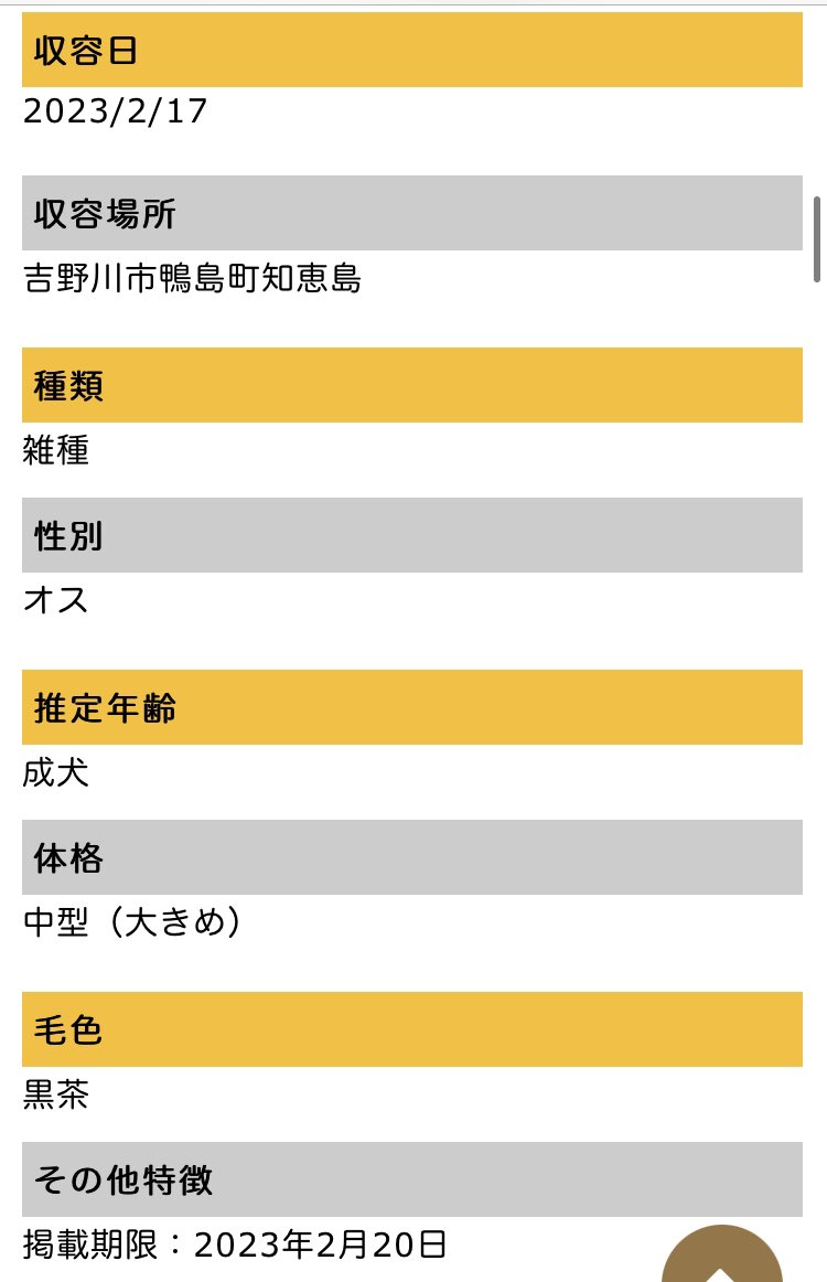 徳島県動物愛護管理センター
2/17収容

⚠️掲載期限2/20迄⚠️

オス 雄
雑種 

徳島県は野犬の成犬の子は怖がりのため譲渡適正検査に通るのは難しいと…
命が繋がって欲しい🙏
douai-tokushima.com/stray/doglist
センターへクレーム❌
吉野川市鴨島町知恵島
#殺処分 反対 
遺棄しないで！#保護犬 を家族に