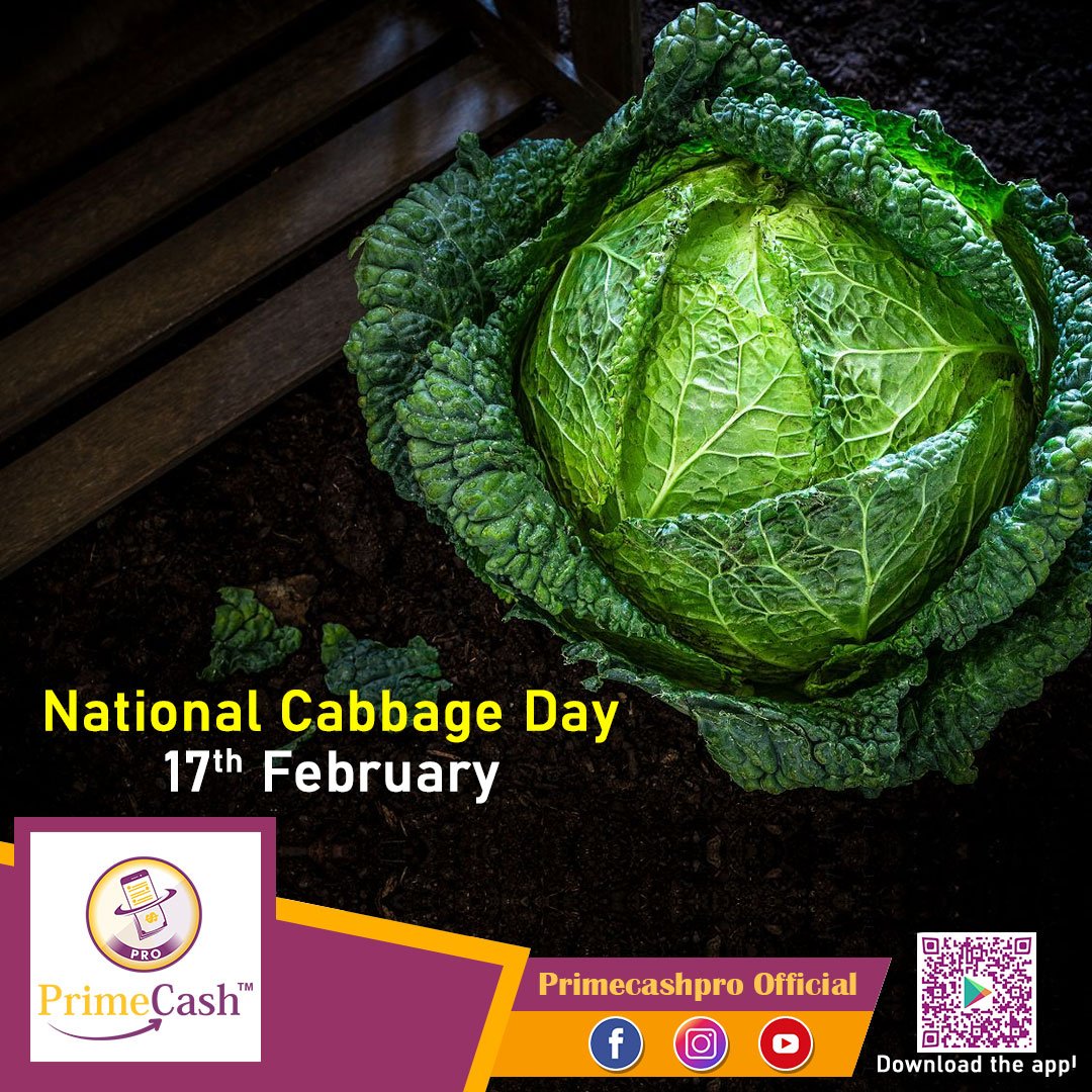 Primecash_PRO's tweet photo. Let us make the occasion of Cabbage Day a memorable one by trying some new and delightful cabbage recipes. Happy Cabbage Day to everyone.
.
.
.
#cabbage #food #healthyfood #CabbageDay #primecash #PrimeCashPro #primecashfamily 
https://t.co/dWChsBvjz2 https://t.co/sllJY7rqOc