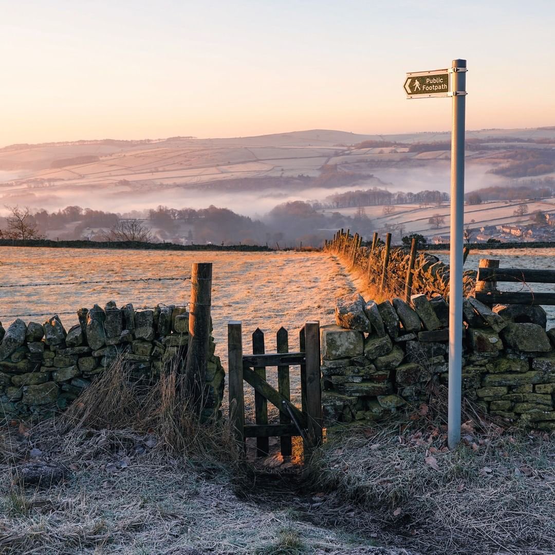 peaklass tweet media