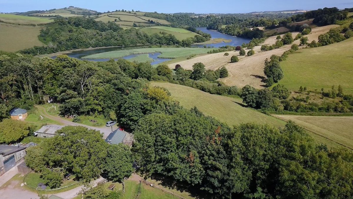 Ambios Ltd tweet media