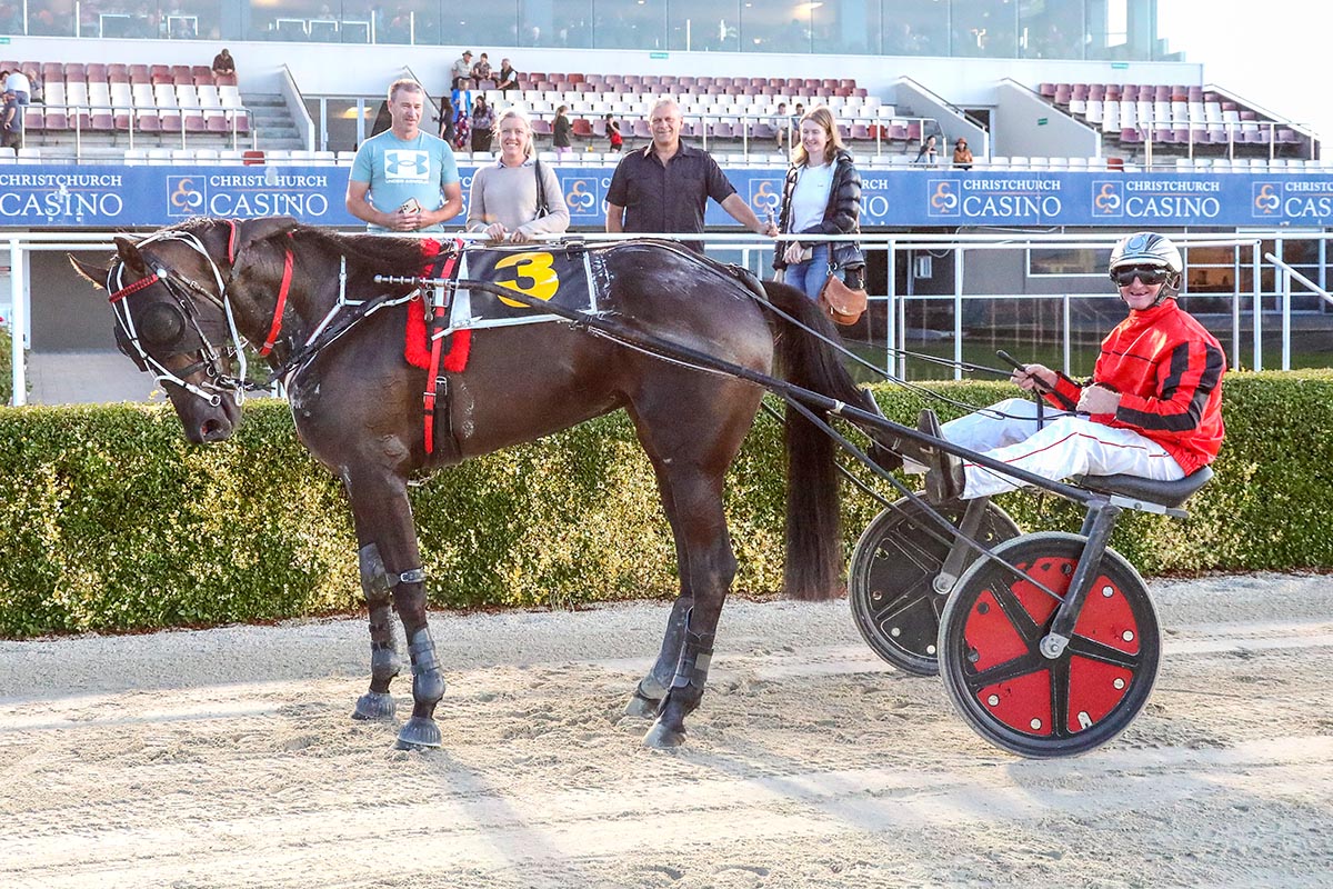 AddingtonNZ's tweet photo. Race 8 - Congratulations to T K Megastar on winning the Harness Racing Unhinged Mobile Trot. Well done to all winning connections. #AddingtonRaceway https://t.co/NVLk5HuJOc