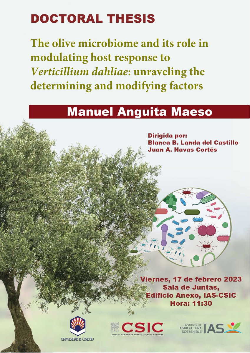 IAS-CSIC (@ias_csic) on Twitter photo 📢HOY Defensa #TesisDoctoral
👨🎓Doctorando <a href="/manguitamaeso/">Manuel Anguita Maeso</a>
👉directores <a href="/blancaracol/">Blanca B. Landa</a> y <a href="/janavascortes/">Juan A. Navas-Cortés (personal)</a> de <a href="/IAS_CSIC/">IAS-CSIC</a>
📆 17 febrero⏰11:30h
📍 Sala de Juntas Ed. Anexo #IAS_CSIC
#cienciaparalaagricultura #CSIC <a href="/CSICdivulga/">CSIC Divulga</a> <a href="/CSICAndalExtrem/">CSIC Andalucía y Extremadura</a> <a href="/Univcordoba/">Universidad Córdoba</a> <a href="/ETSIAMCordoba/">ETSIAM - Universidad de Córdoba</a> <a href="/AgronomiaUCO/">DAUCO</a> 📢HOY Defensa #TesisDoctoral
👨🎓Doctorando <a href="/manguitamaeso/">Manuel Anguita Maeso</a>
👉directores <a href="/blancaracol/">Blanca B. Landa</a> y <a href="/janavascortes/">Juan A. Navas-Cortés (personal)</a> de <a href="/IAS_CSIC/">IAS-CSIC</a>
📆 17 febrero⏰11:30h
📍 Sala de Juntas Ed. Anexo #IAS_CSIC
#cienciaparalaagricultura #CSIC <a href="/CSICdivulga/">CSIC Divulga</a> <a href="/CSICAndalExtrem/">CSIC Andalucía y Extremadura</a> <a href="/Univcordoba/">Universidad Córdoba</a> <a href="/ETSIAMCordoba/">ETSIAM - Universidad de Córdoba</a> <a href="/AgronomiaUCO/">DAUCO</a>