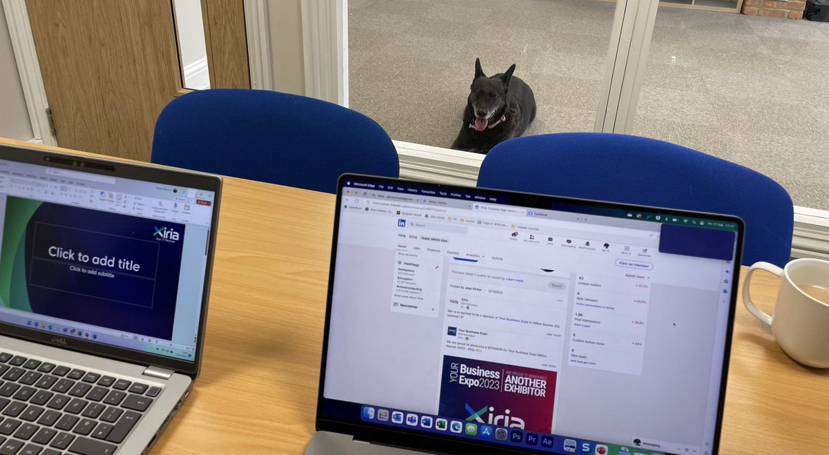 A certain someone wants to be in the meeting… 🐶