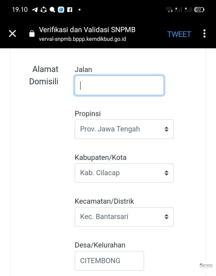 CEK PINNED! tweet media