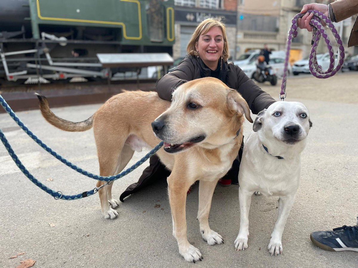🐕🐈 Sabies que 6 de cada 10 famílies igualadines conviu amb una mascota? Volem fer una ciutat amiga dels animals de companyia

🟡 Tinença responsable
🟡 Millorar zones d’esbarjo i pipicans
🟡 Tolerància zero al maltractament
🟡 Coordinació amb entitats

➡️locals.esquerra.cat/igualada/artic…