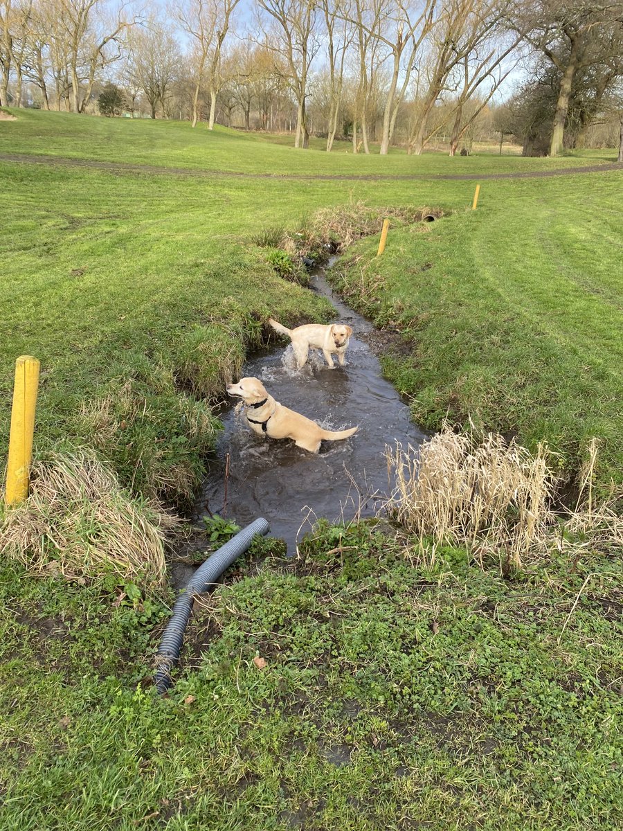 Winifred Robinson tweet media