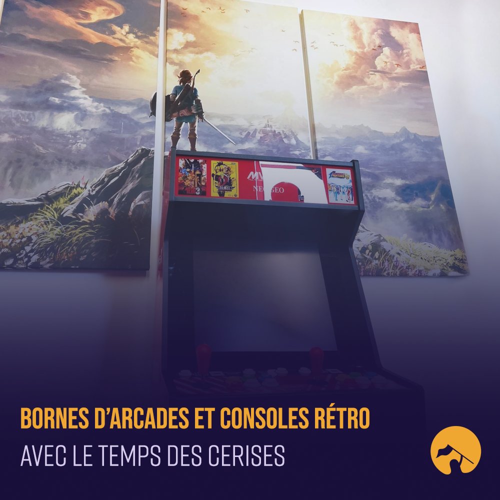 IGN_Officiel's tweet photo. Venez tester les bornes d'arcades et les consoles rétro du Temps des Cerises pendant Indie Game Nation les 4 &amp; 5 mars !

#retro #gaming #retrogames https://t.co/ABzjkEIkRl
