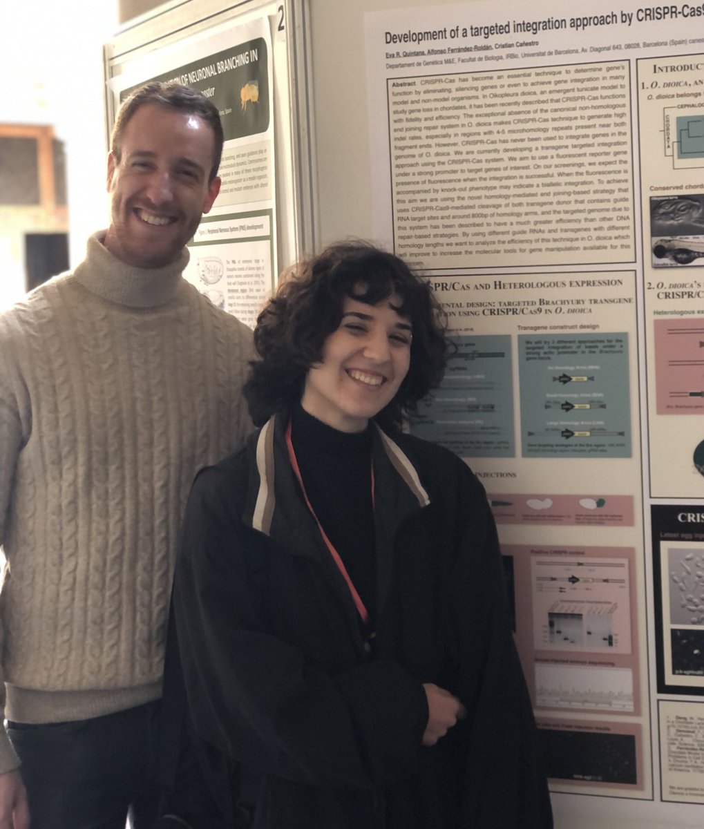 evodevogenomeUB's tweet photo. Thanks @SCB_iec #DevBioSCB2023 organizers for year after year launch this great meeting where the members of our labs can share their latest progress with other groups and research institutions in Catalonia in a such beautiful place. Looking forward to the next in 2024 https://t.co/mtO79d8MYj