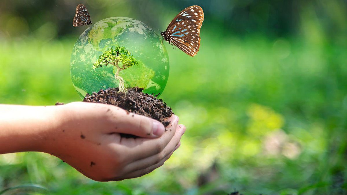 Comment plantes et animaux s’adaptent au réchauffement climatique ? Nouvel article autour du thème du Prix Jeunes pour l'Environnement @epe_asso @TF1 LCI 'Relever le défi de l'adaptation au changement climatique : quelles solutions sobres et durables ?' tf1info.fr/environnement-…