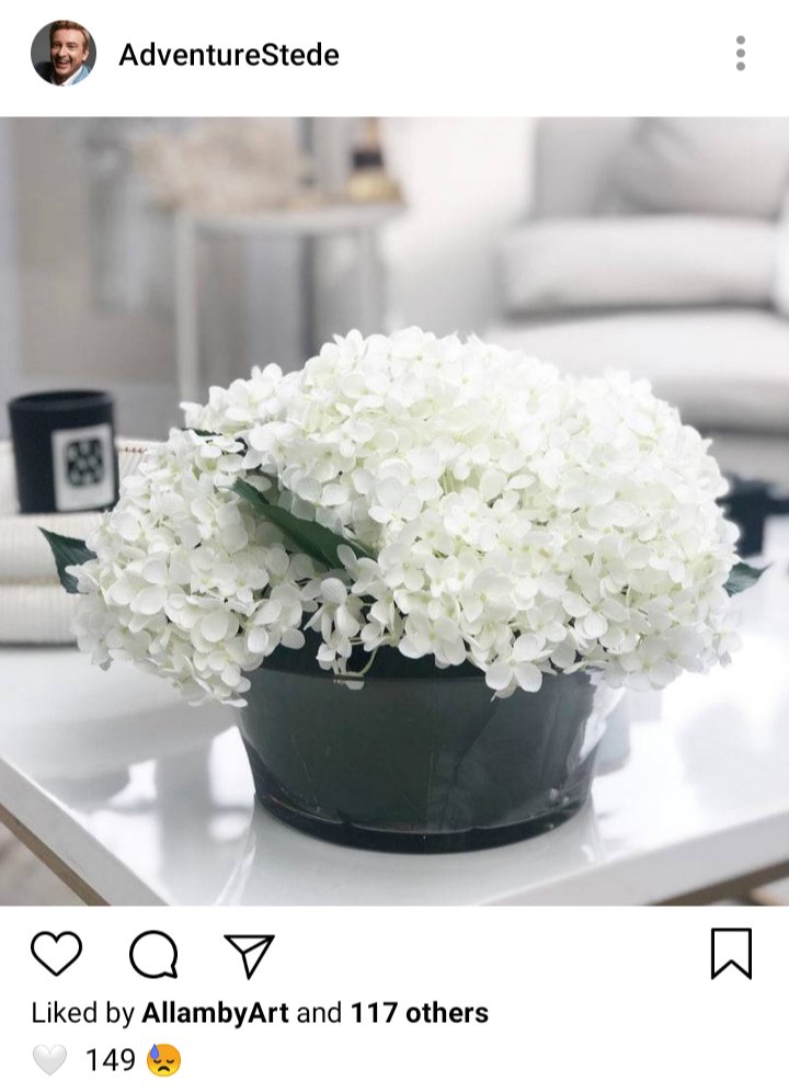Stede's IG. Photo of white hydrangeas. Caption reads "🤍149😓" 
