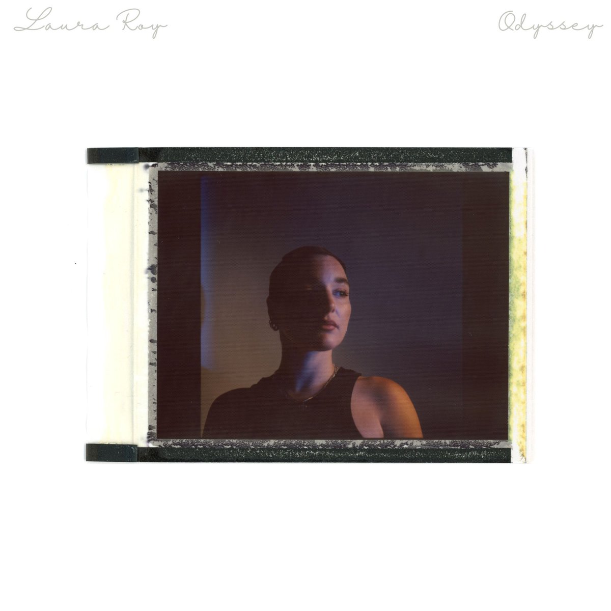 Laura Roy tweet media