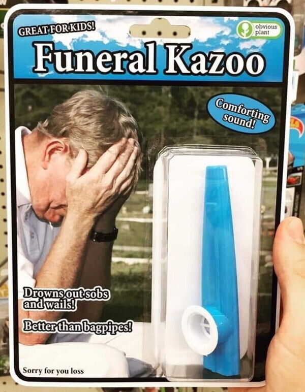 rstevenson262's tweet image. Filing this under &quot;WTAF&quot;...🤨 #betterthanbagpipes #greatforkids