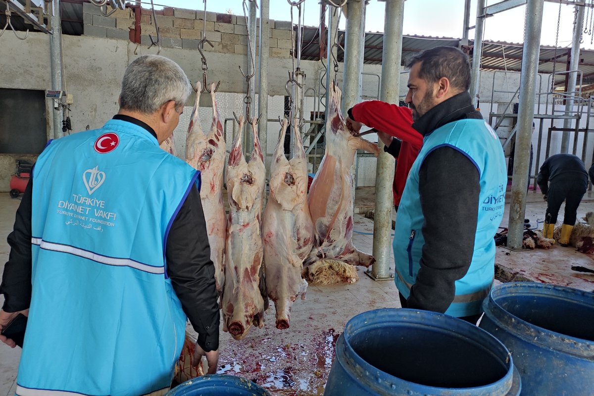 DiyanetVakfi's tweet photo. Adana Müftülüğü ve Vakfımız Şubesi, hayırseverlerimizin destekleriyle depremzedeler için 50 kurbanlık kesimini gerçekleştirerek kardeşlerimize ikram etmek üzere hazır hale getirdi.

#TürkiyeİçinİyilikVakti
#DayanışmaDestanı https://t.co/EJE6qadqVa