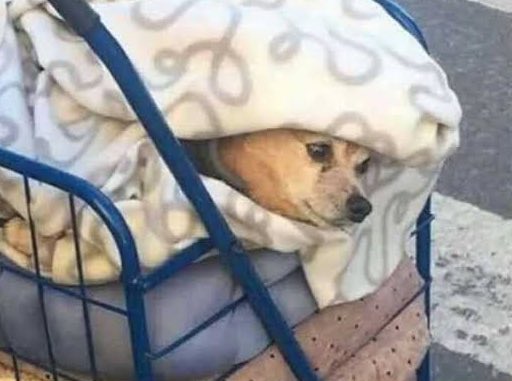 Guarromantico_'s tweet photo. Cuando suena la alarma y empiezo a calcular si puedo permitirme 5 minutos más en la cama. https://t.co/MZADkbtHGH