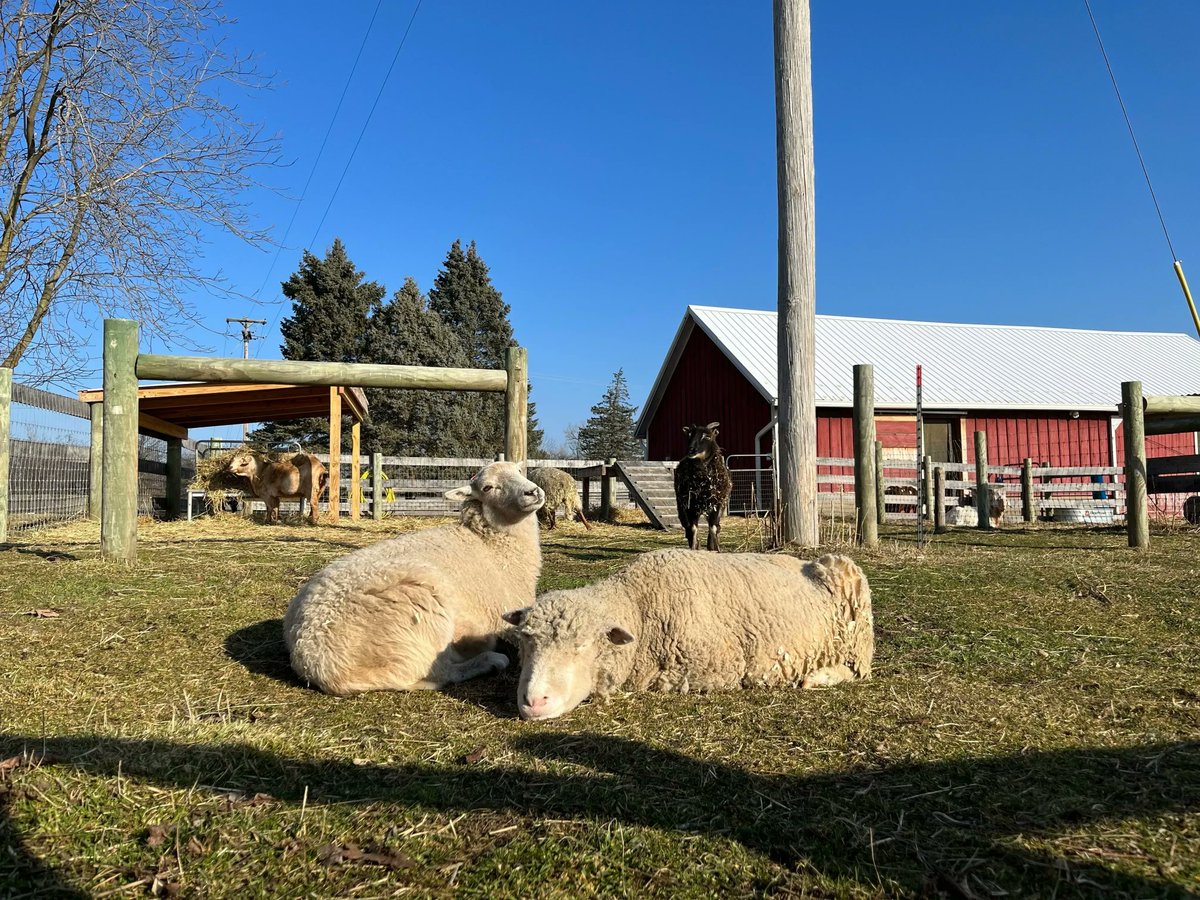 Amazon is ending AmazonSmile on Feb 20th. This was a great way to support nonprofits and is a large loss for us. Recurring monthly donations are the best way to support Barn as it allows us to plan and budget. buff.ly/3XzmIzG Forever grateful for you, Barn Fam ❤️