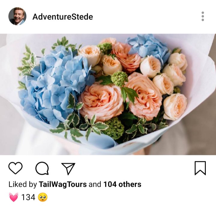 Stede's IG. Photo of hydrangea bouquet. Caption reads 💓134🥺