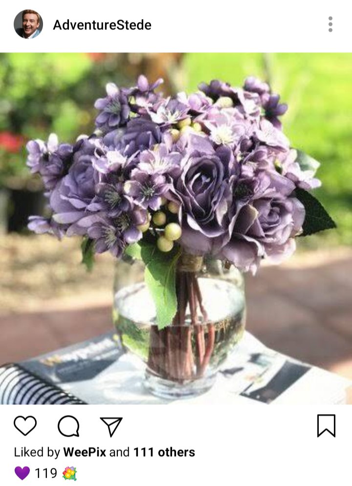 Stede's IG. Photo of bouquet of hydrangeas. Caption reads "💜 119 💐" 