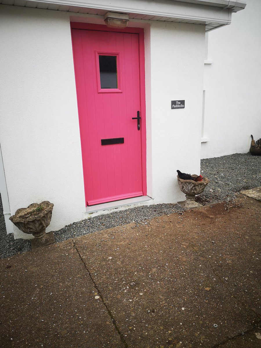 ThreePaddocks's tweet image. Egg delivery service......